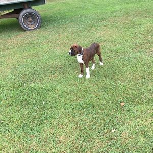 Meet your Posher, Rhonda